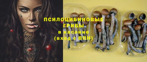 гашик Алексеевка