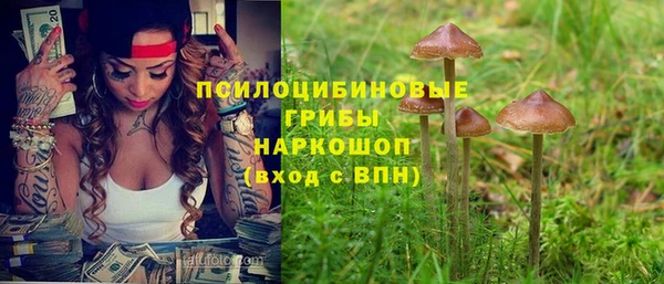 гашик Алексеевка