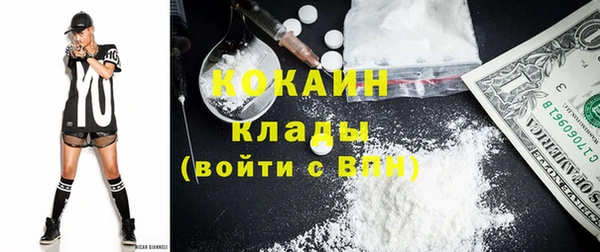 гашик Алексеевка